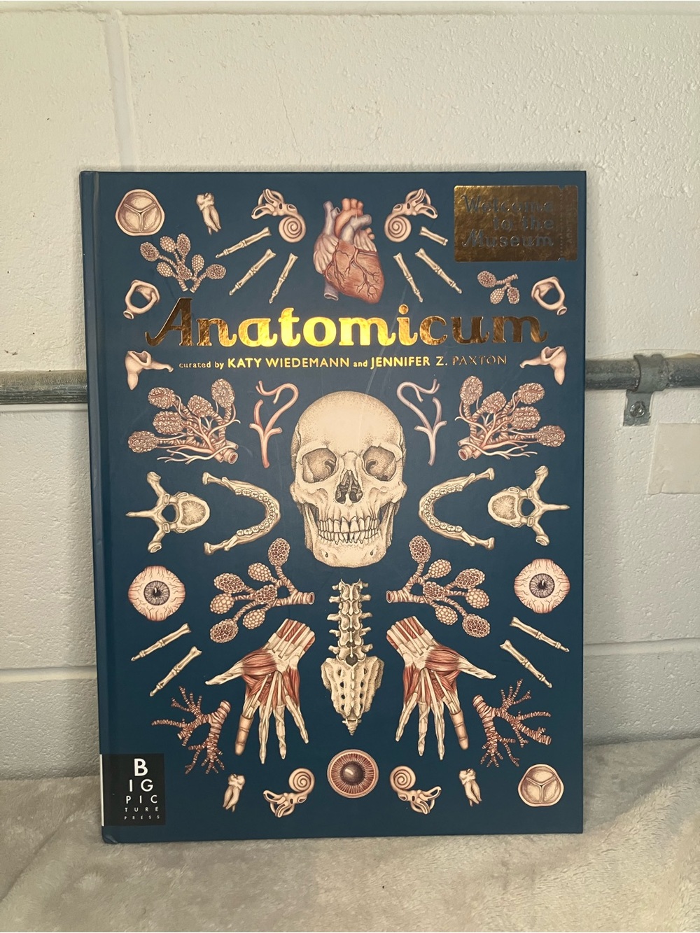 Anatomicum Illustrated Hardcover Book - Teal Cover with Gold Foil